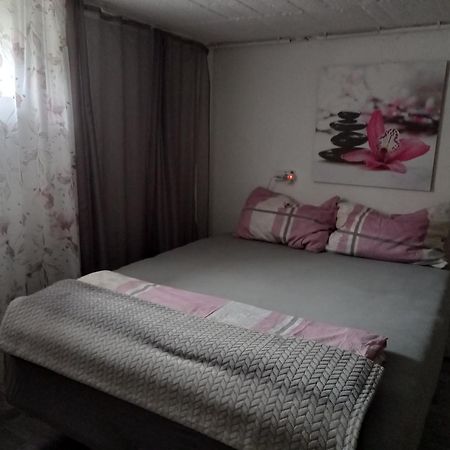 60 M² Ferienapartment Zentrumsnahe Mit Gartenbenutzung Steyr Ngoại thất bức ảnh
