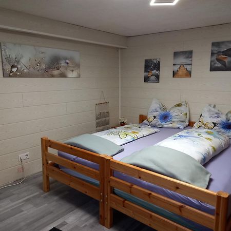 60 M² Ferienapartment Zentrumsnahe Mit Gartenbenutzung Steyr Ngoại thất bức ảnh