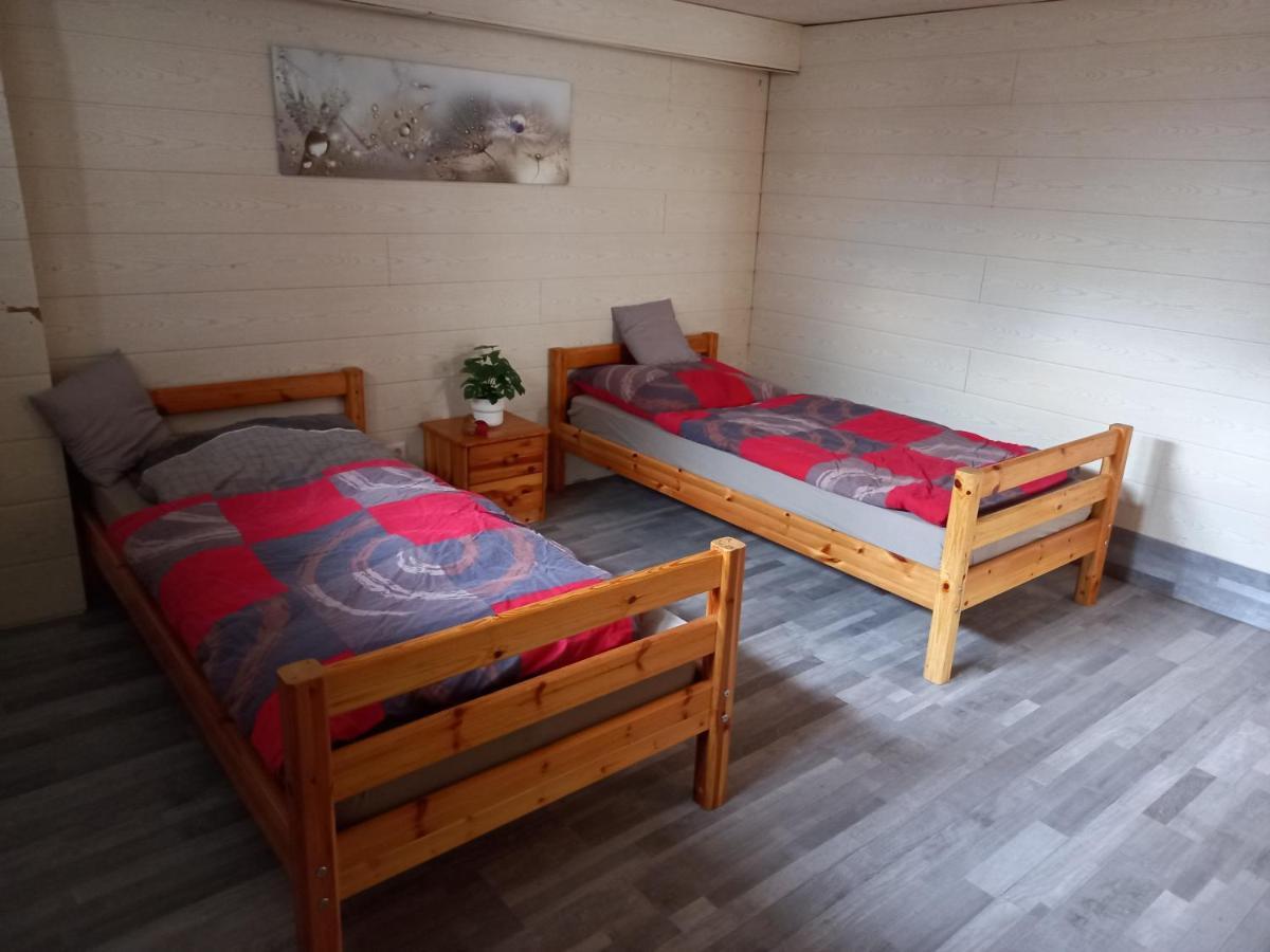 60 M² Ferienapartment Zentrumsnahe Mit Gartenbenutzung Steyr Ngoại thất bức ảnh