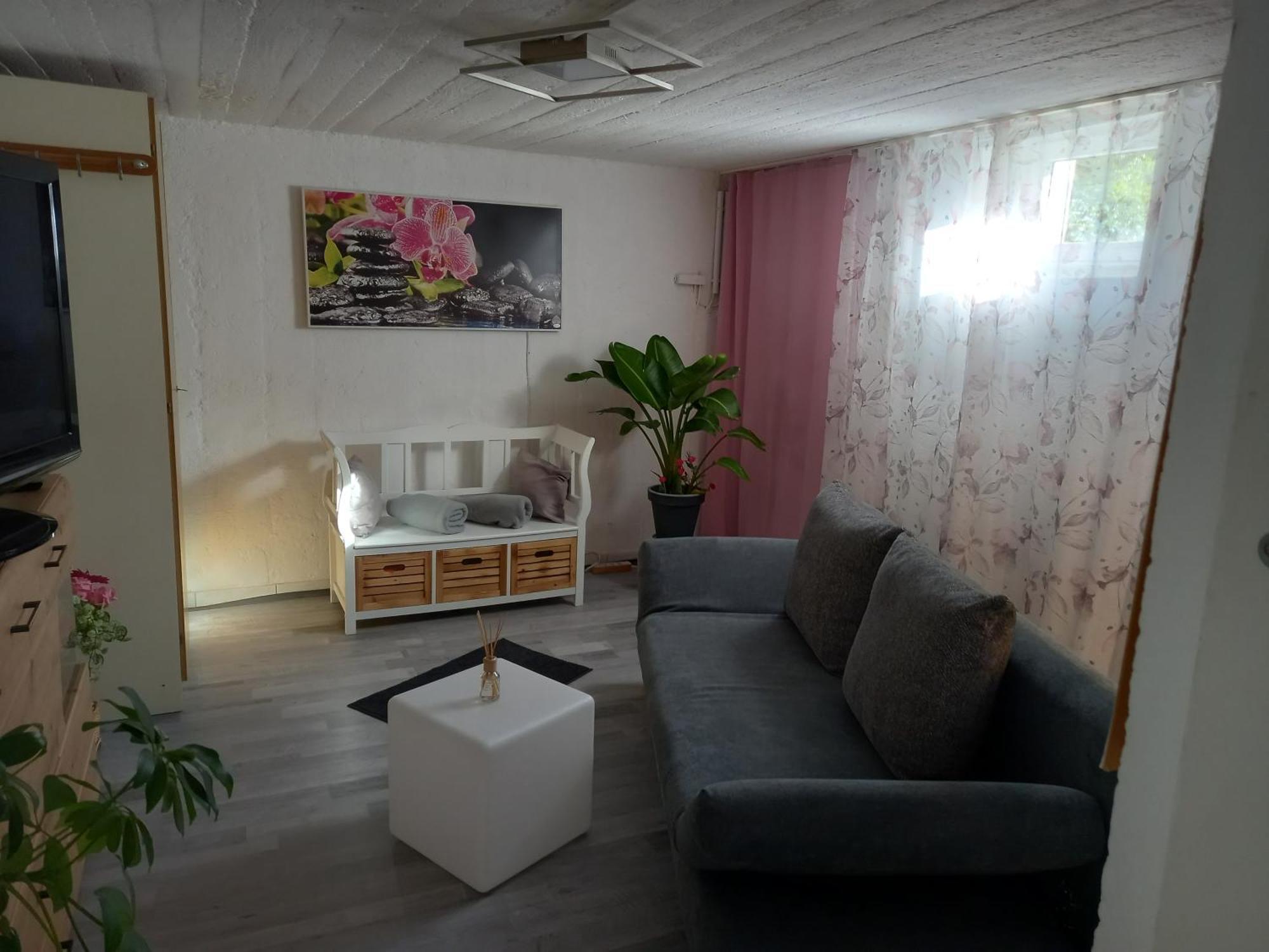 60 M² Ferienapartment Zentrumsnahe Mit Gartenbenutzung Steyr Ngoại thất bức ảnh