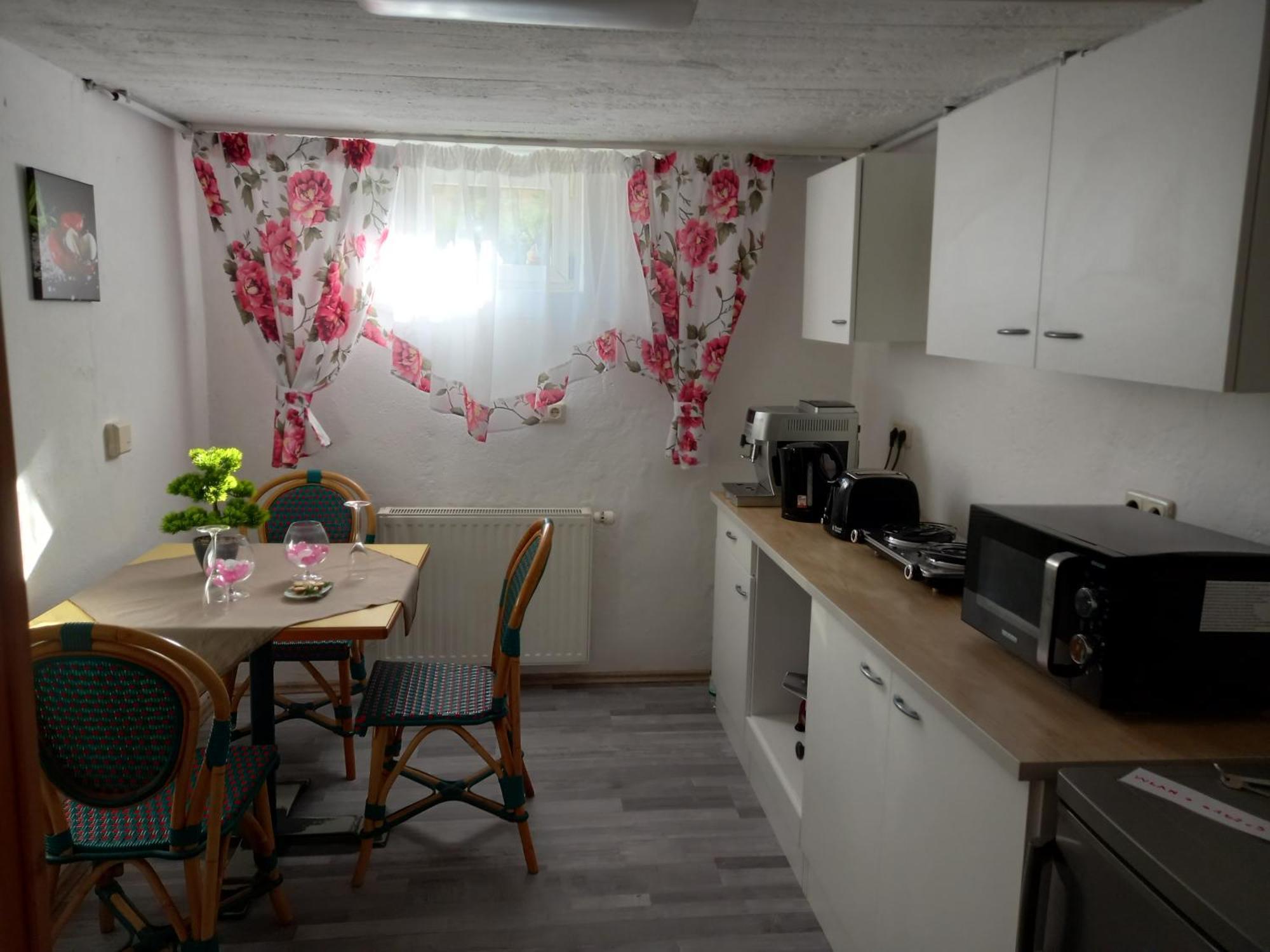 60 M² Ferienapartment Zentrumsnahe Mit Gartenbenutzung Steyr Ngoại thất bức ảnh