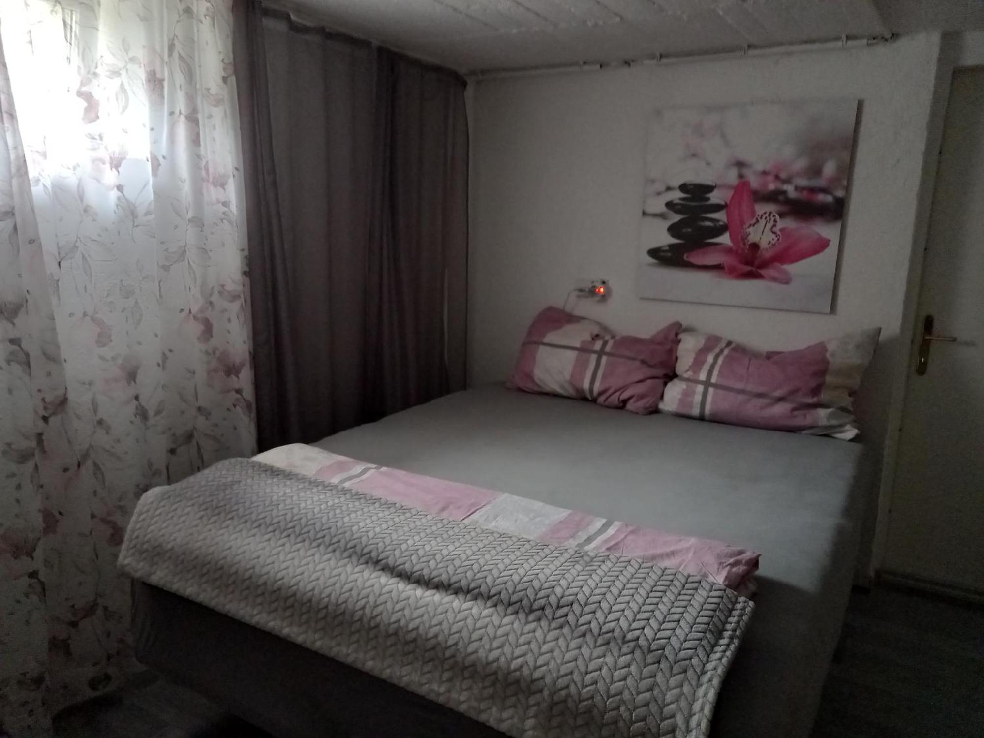 60 M² Ferienapartment Zentrumsnahe Mit Gartenbenutzung Steyr Ngoại thất bức ảnh